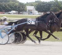 9/10/2016 Race Winners